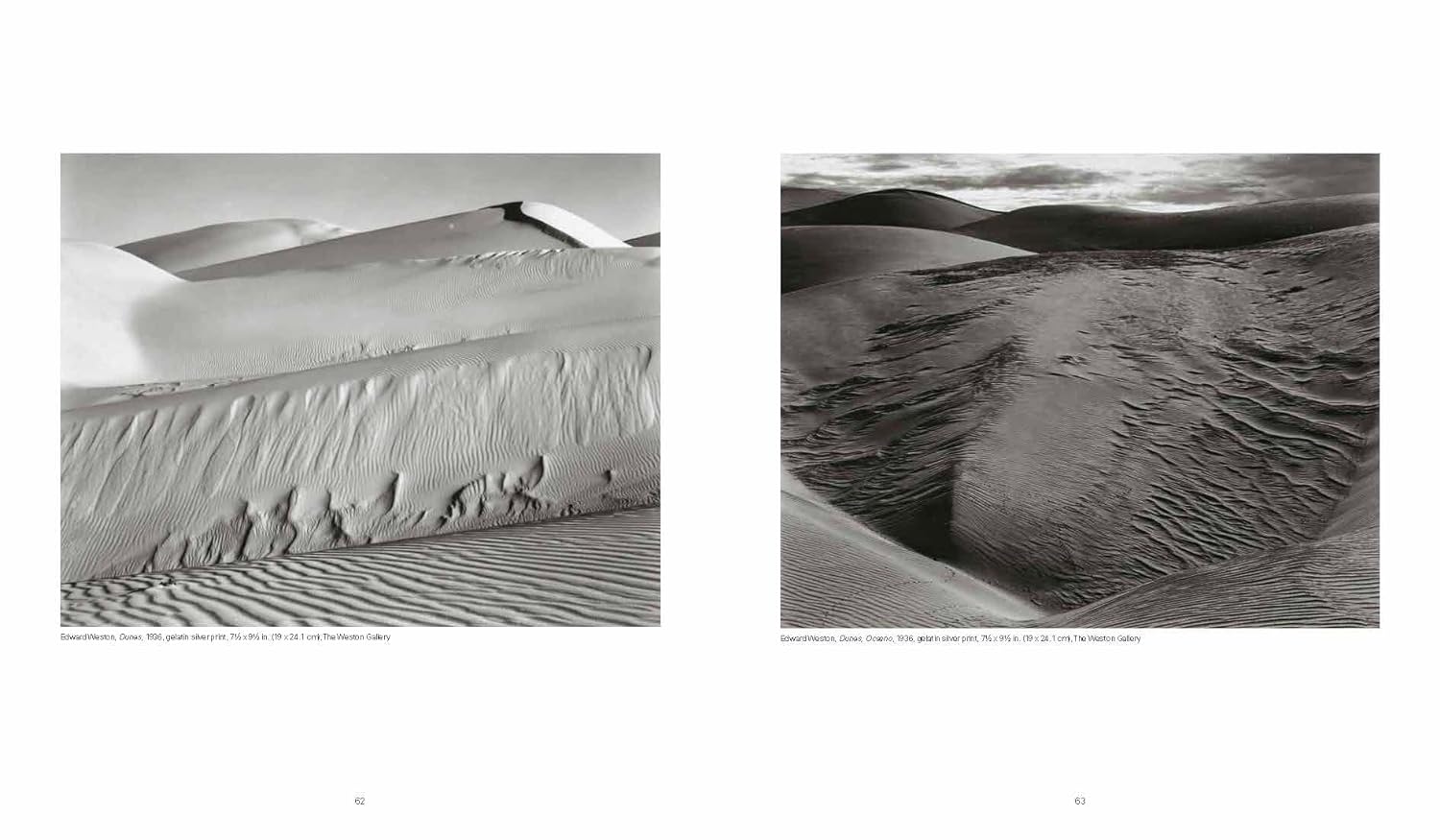 Weston: Edward, Brett, Cole, Cara: A Dynasty of Photographers — изображение 10