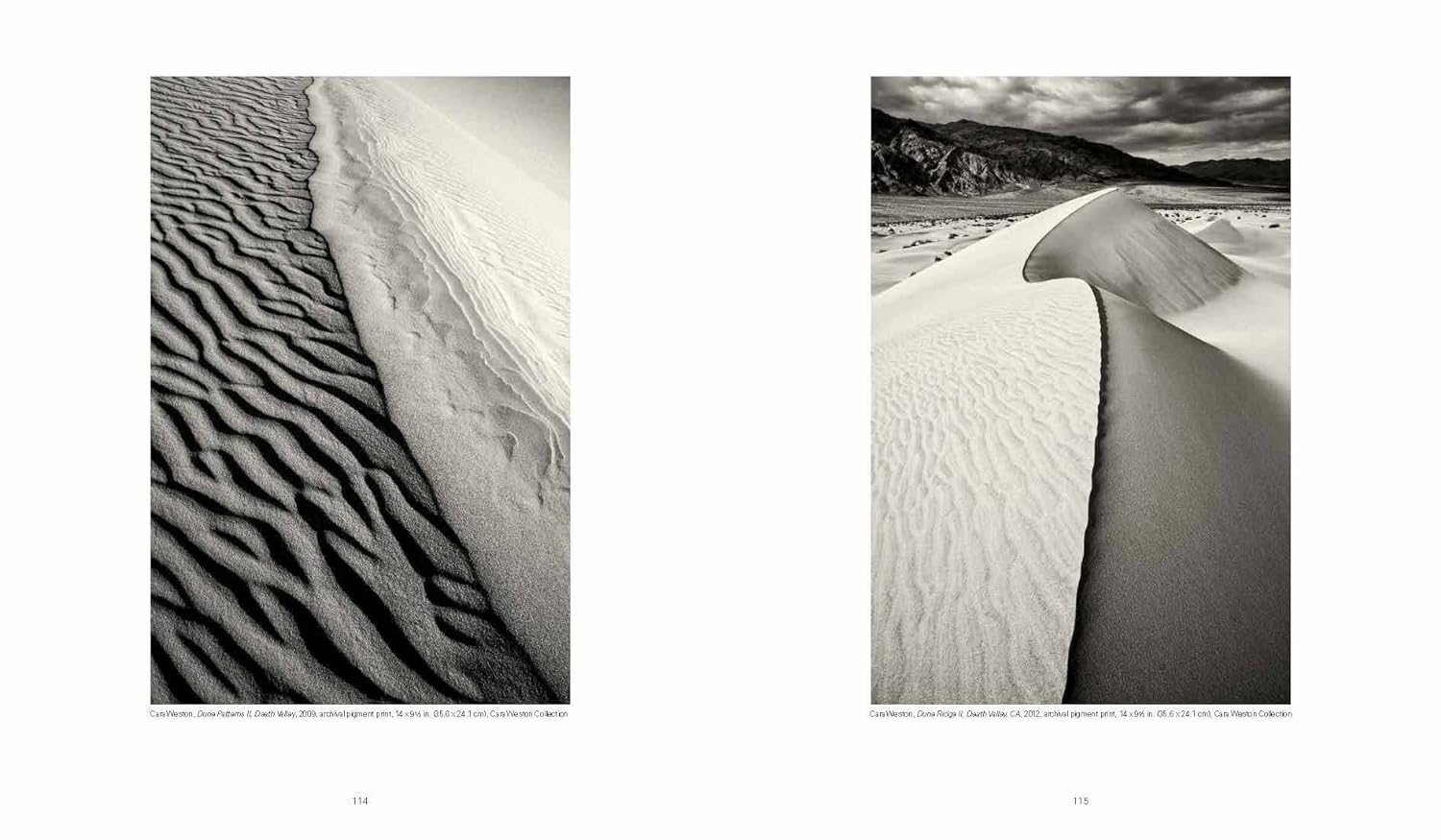 Weston: Edward, Brett, Cole, Cara: A Dynasty of Photographers — изображение 4