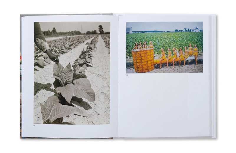 The Image of Whiteness: Contemporary Photography and Racialization — изображение 9