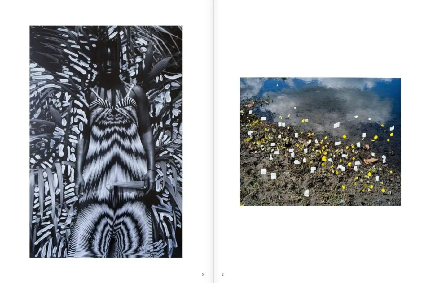Viviane Sassen — изображение 7