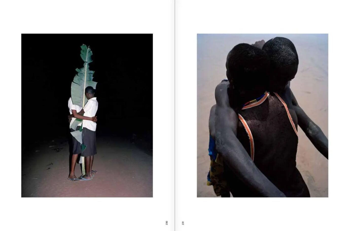 Viviane Sassen — изображение 6